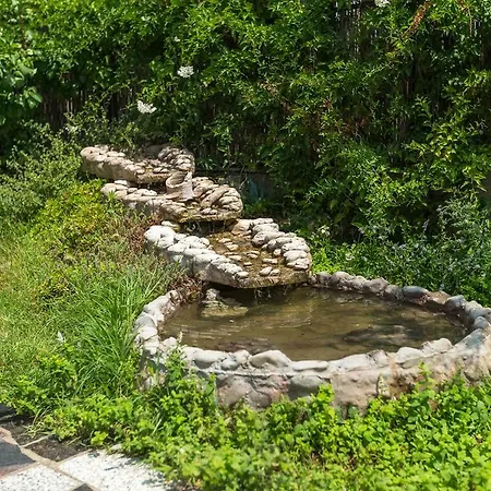 Olga Appartement Pula