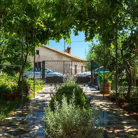Olga Apartment *